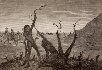 Gli uomini albero dell